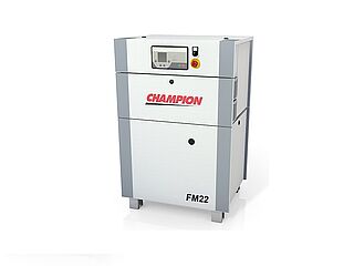 FM22 (RS)